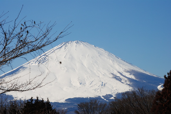 b0242873_1125198.jpg
