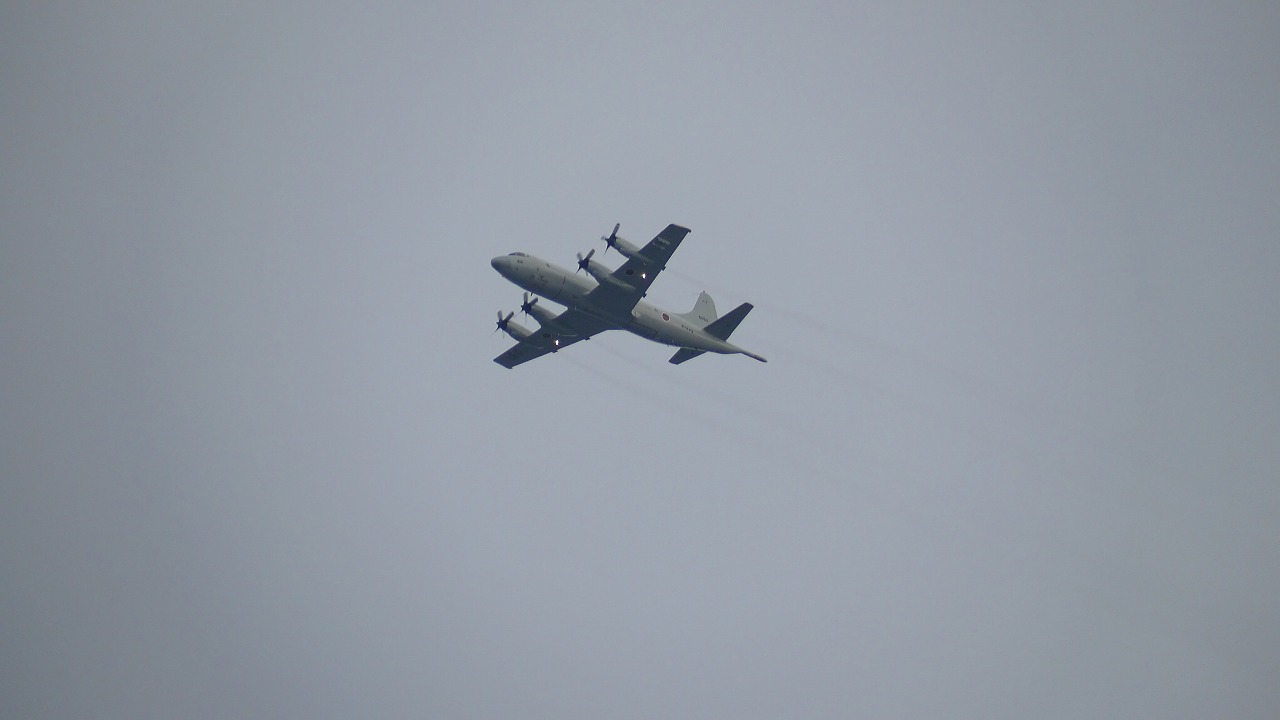 a0185081_2071659.jpg