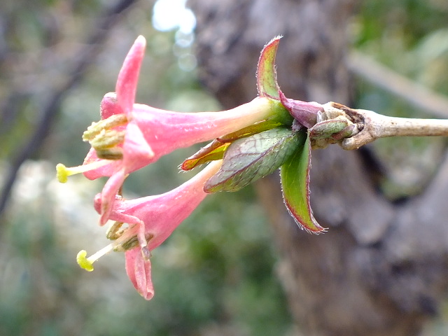 e0145782_17553598.jpg