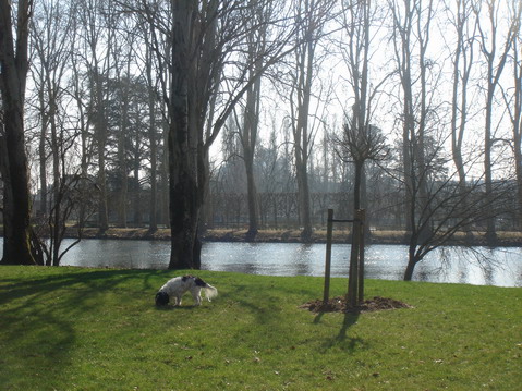 a0247585_4344527.jpg