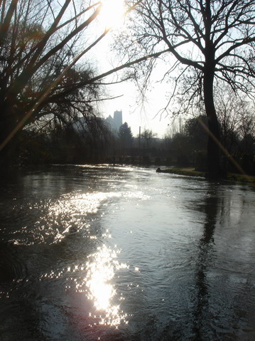 a0247585_436501.jpg