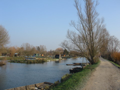 a0247585_44387.jpg