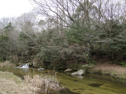 a0251786_2311751.jpg