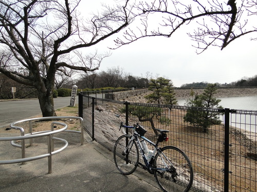 a0251786_23165533.jpg