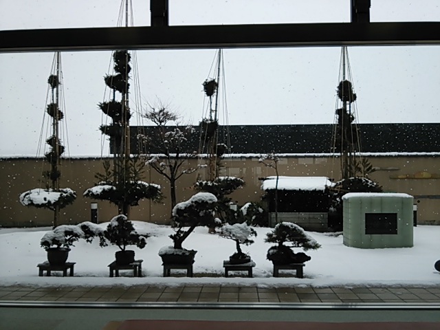 c0204188_1749782.jpg