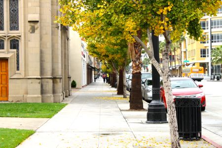 f0245389_2034137.jpg