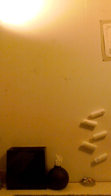 b0199097_1103495.jpg
