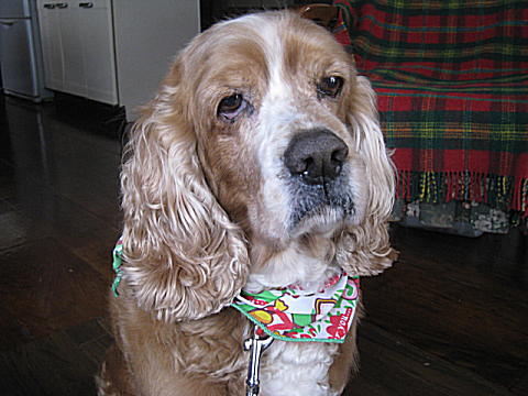 d0046702_12331425.jpg