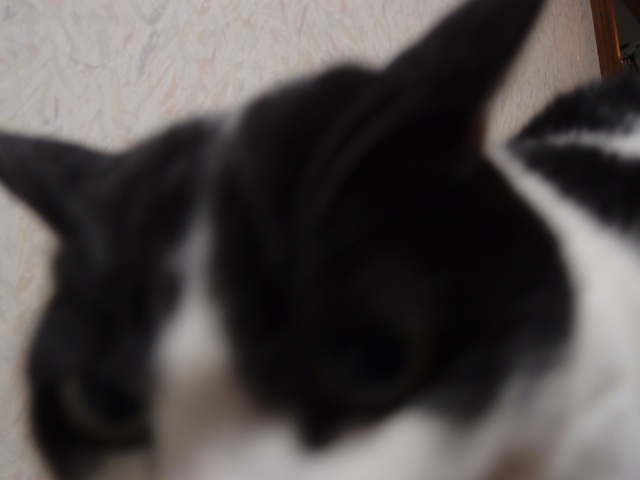 e0018604_19112454.jpg