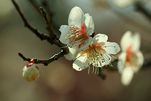 b0014607_16273692.jpg