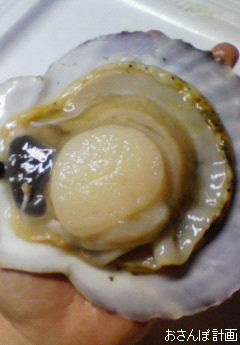 a0183009_1633435.jpg