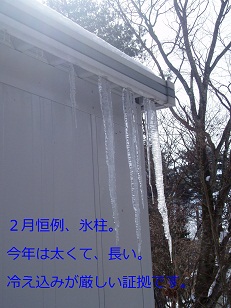 b0200310_10511754.jpg