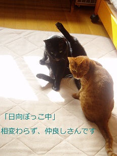 b0200310_11573312.jpg