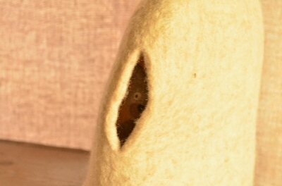 e0261315_17403967.jpg