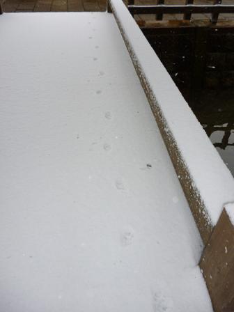 e0135219_1129084.jpg