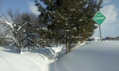 e0105130_21441154.jpg