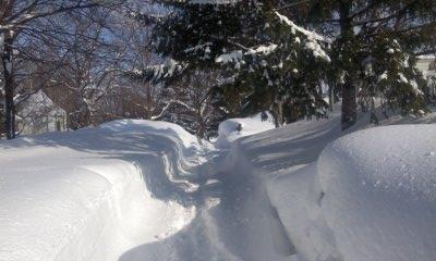 e0105130_21445342.jpg