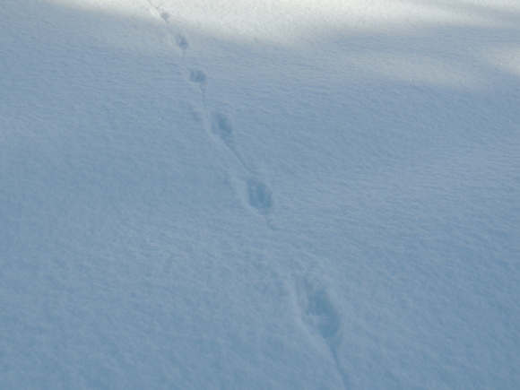 f0118332_21102779.jpg