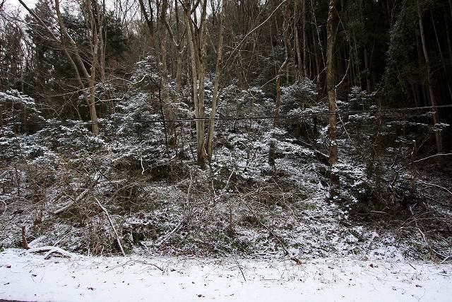 a0242438_19454431.jpg
