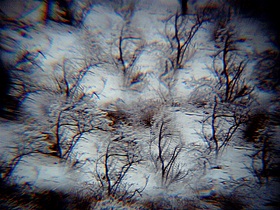 d0194741_921484.jpg
