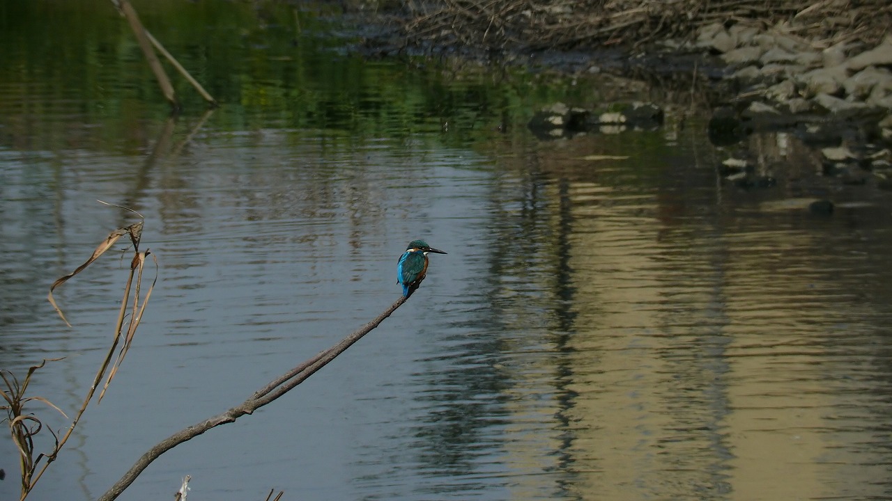 a0185081_14415099.jpg