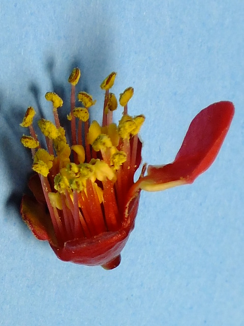 e0145782_2034316.jpg