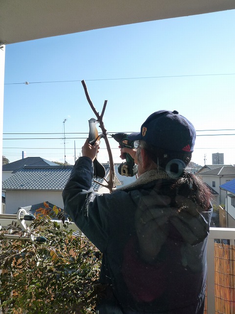 b0238886_11151931.jpg