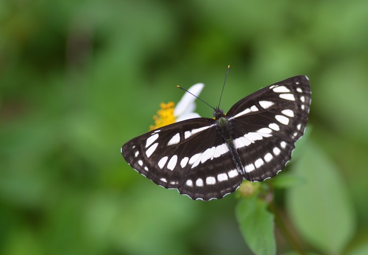 a0277496_946314.jpg