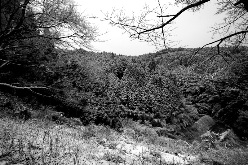 c0043403_21224143.jpg