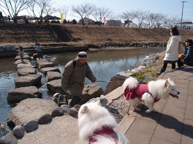 e0018604_19134517.jpg