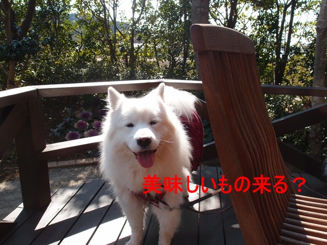e0018604_19175178.jpg