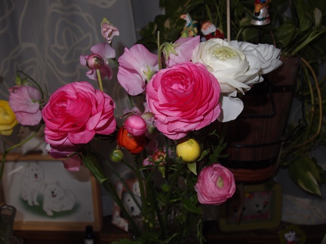 e0018604_19215541.jpg