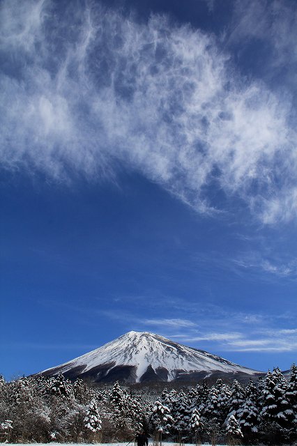 a0188405_23561782.jpg