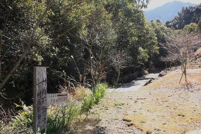 d0154609_18222476.jpg