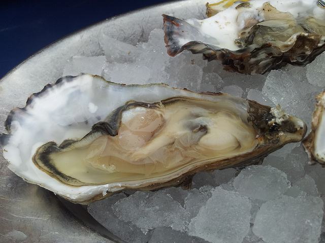 c0167813_5305341.jpg