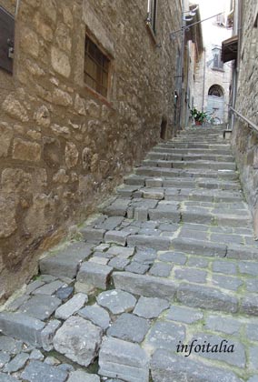 c0077533_837894.jpg