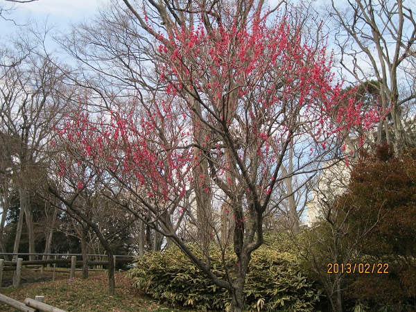 b0012636_10341913.jpg