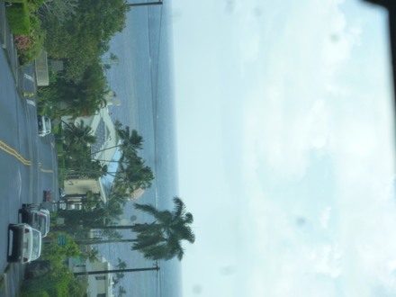 d0174037_14385036.jpg