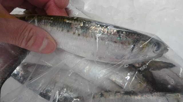f0208737_823789.jpg