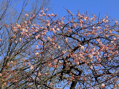 c0097558_245272.jpg