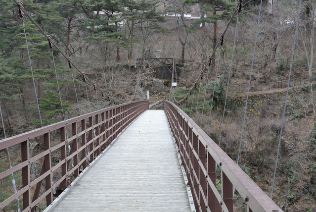 b0282061_1315329.jpg