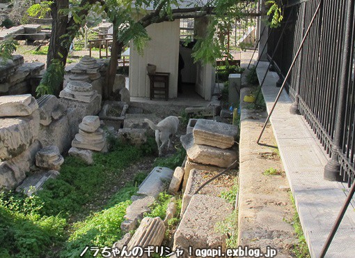 f0037264_22384926.jpg
