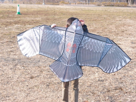 c0122670_2335156.jpg
