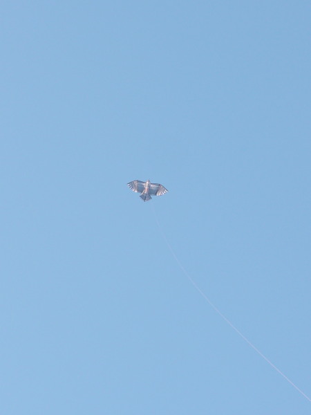 c0122670_23355155.jpg
