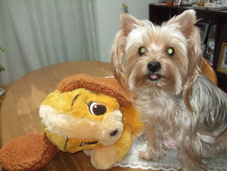 e0120072_21563681.jpg