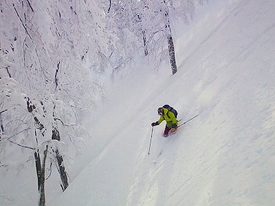 f0182173_112901.jpg