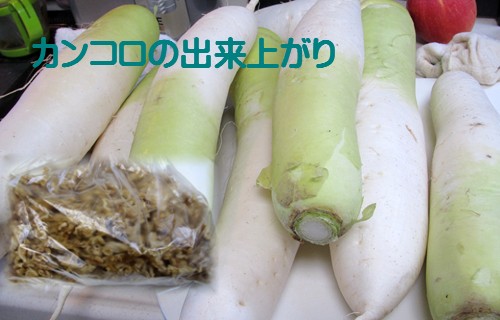 f0003174_1629268.jpg