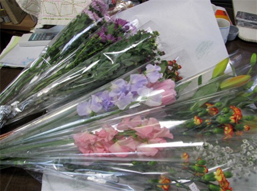 f0003174_1637507.jpg