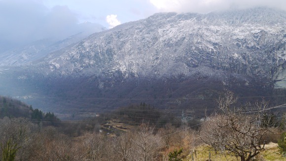 a0278382_6304577.jpg