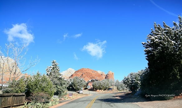 e0148185_8282546.jpg